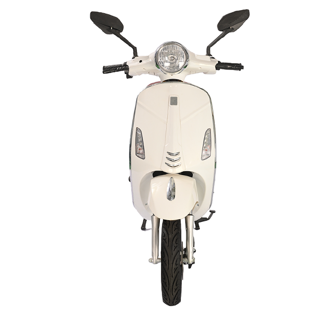 سكوتر كهربائي TSL 1000W - إطار فولاذي عالي الكربون، بطارية 48 فولت، سرعة قصوى 45 كم/ساعة، تصميم أنيق