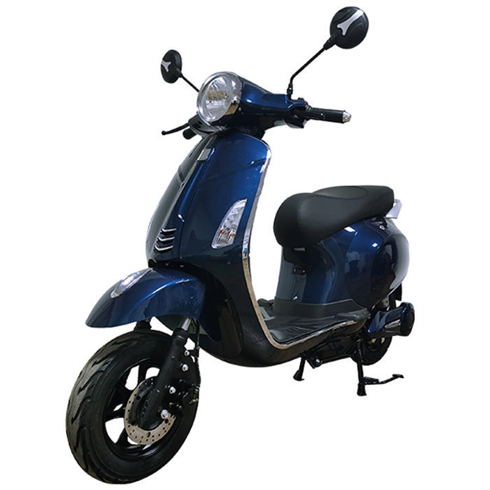 سكوتر كهربائي TSL 1000W - إطار فولاذي عالي الكربون، بطارية 48 فولت، سرعة قصوى 45 كم/ساعة، تصميم أنيق