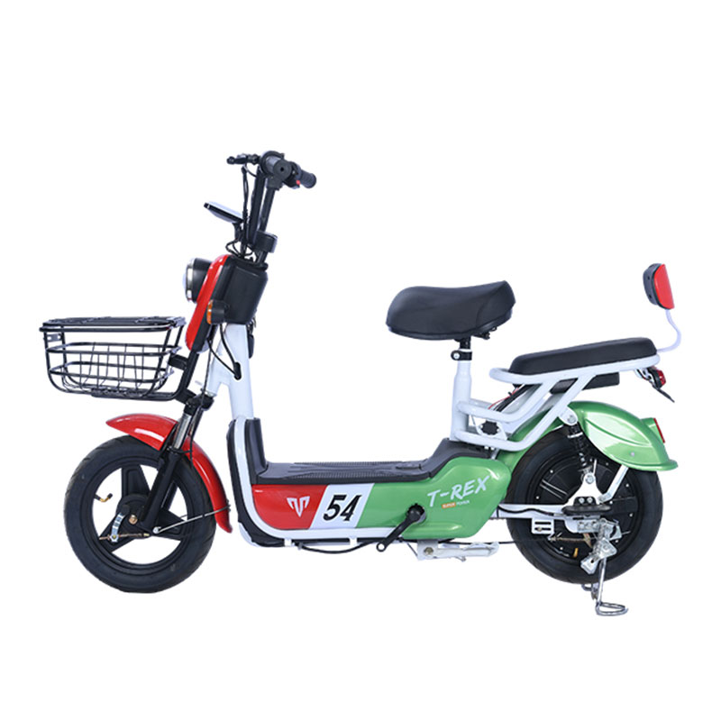 دراجة ركاب كهربائية مع بطارية قابلة للفصل