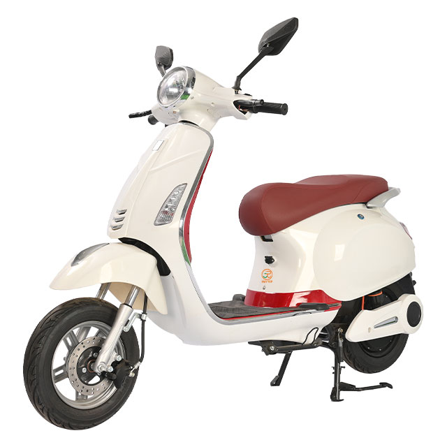 سكوتر كهربائي TSL 1000W - إطار فولاذي عالي الكربون، بطارية 48 فولت، سرعة قصوى 45 كم/ساعة، تصميم أنيق