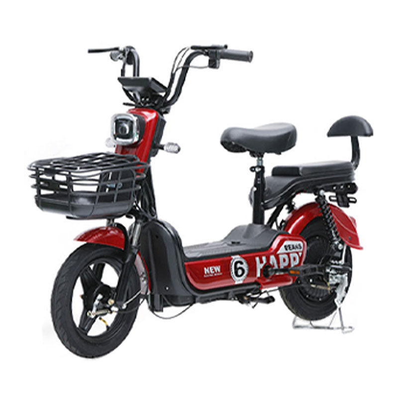 دراجة ركاب كهربائية مع بطارية قابلة للفصل