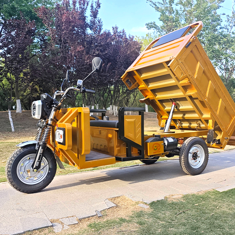دراجة ثلاثية العجلات لنقل البضائع الكهربائية بقدرة 2000 وات للنقل الذاتي التفريغ