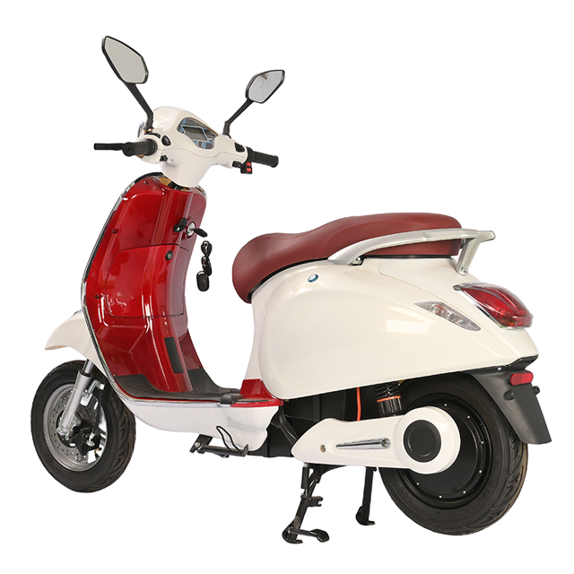 سكوتر كهربائي TSL 1000W - إطار فولاذي عالي الكربون، بطارية 48 فولت، سرعة قصوى 45 كم/ساعة، تصميم أنيق