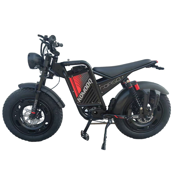 دراجة جبلية كهربائية ببطارية ليثيوم 1000 واط من ZJ مع فرامل قرصية مزدوجة الزيت