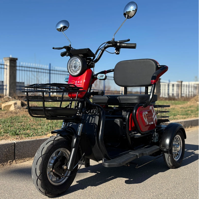 الرحلات الإلكترونية: تعزيز عمليات توصيل الميل الأخير في البرازيل وإندونيسيا‌