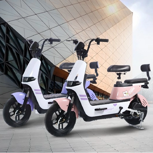 10 اتجاهات رئيسية تعيد تشكيل سوق الدراجات الكهربائية: من التنقلات الحضرية إلى اللياقة المستدامة