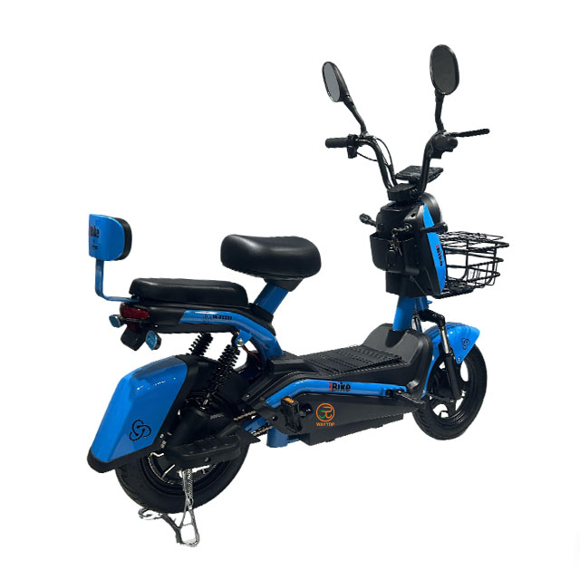 دراجة المدينة الكهربائية عالية الأداء KZ 350W/500W 48V