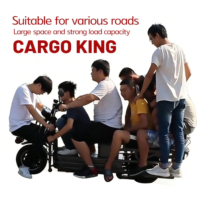 سوق Ebike العالمي: الأسواق والفرص الناشئة